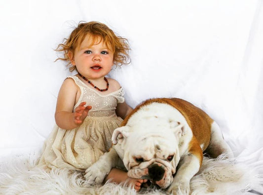 AMETHYST AND AMBER Teething Necklace