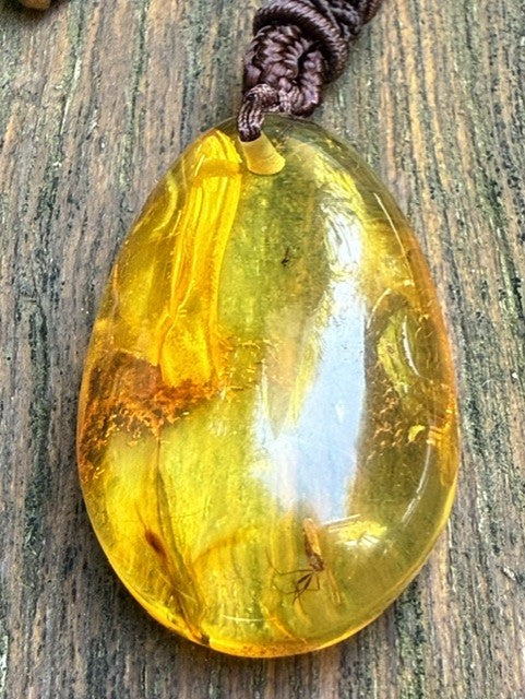 Men's Amber Stone Necklace with insects