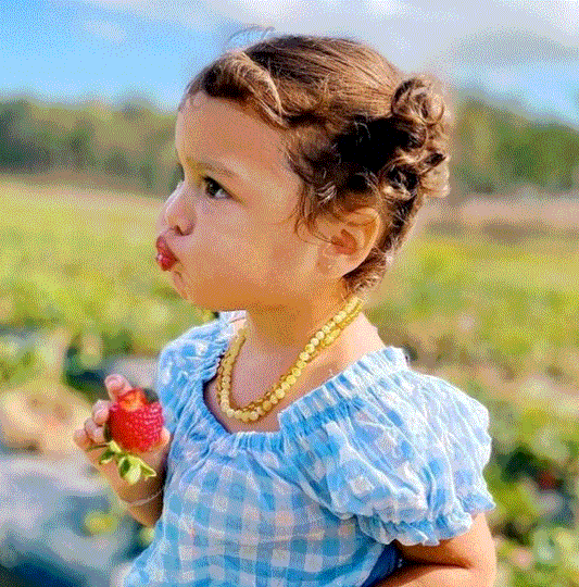 Butterscotch Amber Teething Necklace