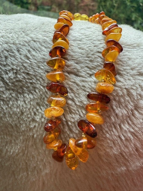 Toddler Amber necklaces 36 cm {SALE}