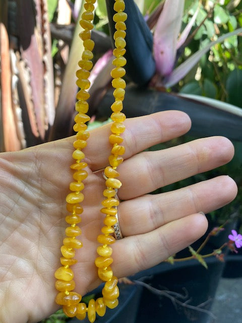 Milky Amber necklaces {SALE} - Amber House