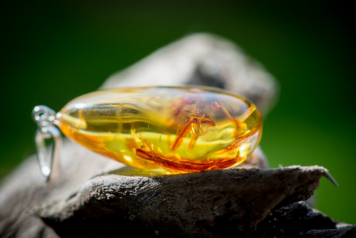 AMBER PENDANTS