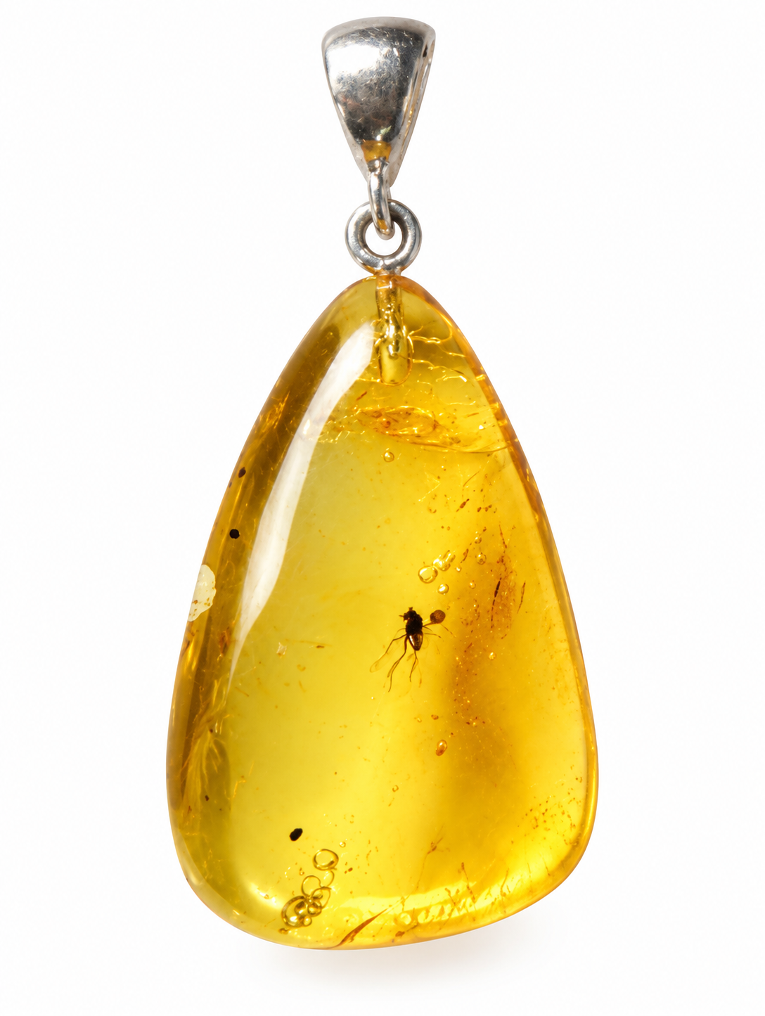 Ancient Insect in Baltic Amber Pendant