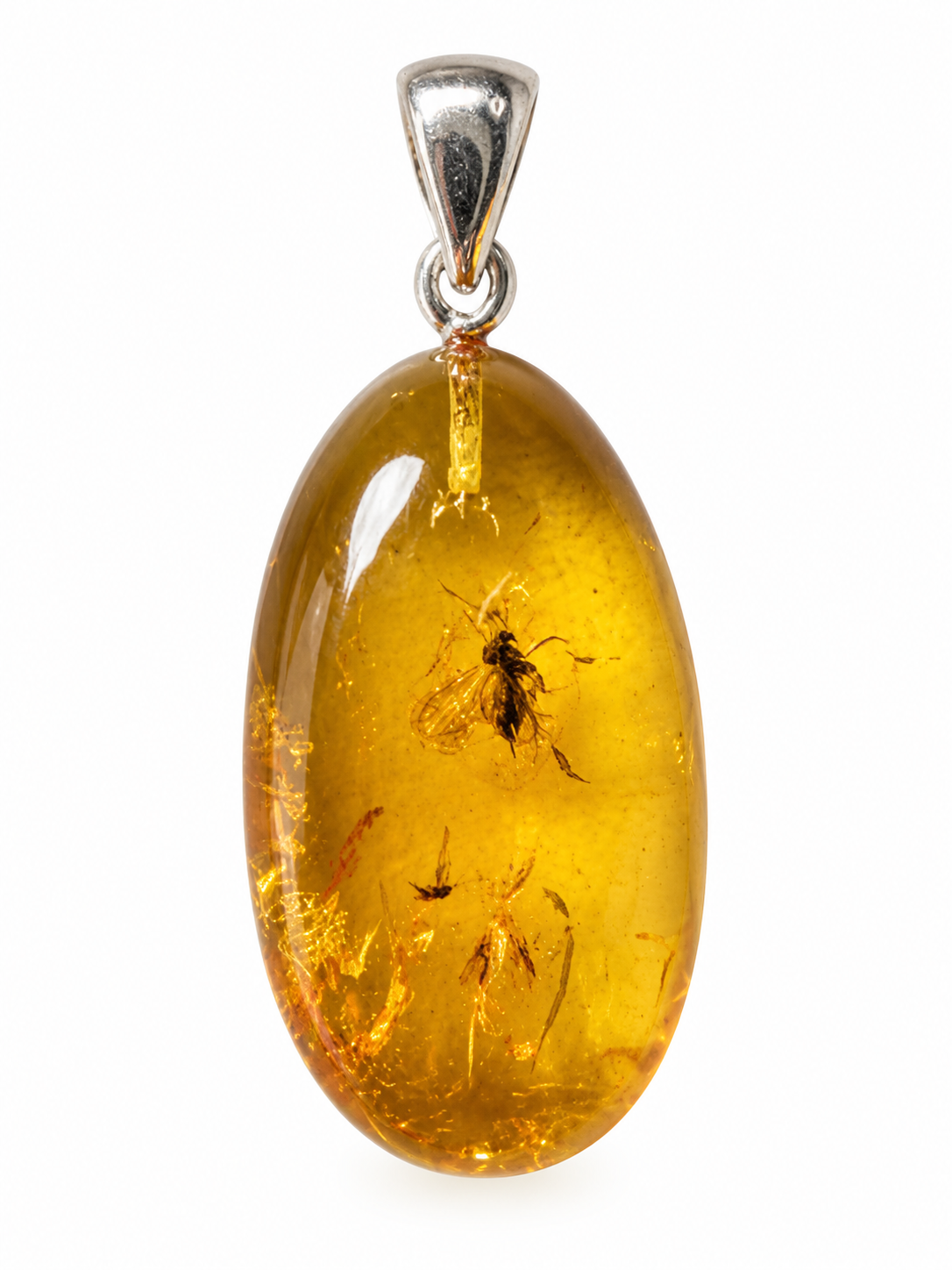 Little Treasure – Natural Baltic Amber Pendant with Insect Inclusion