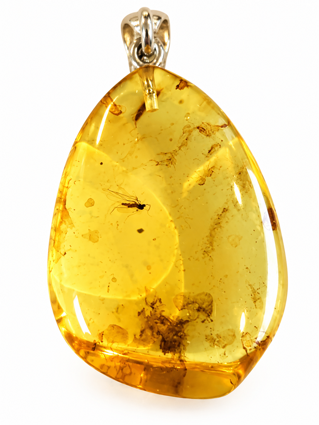 Fossilised Insect Amber Pendant
