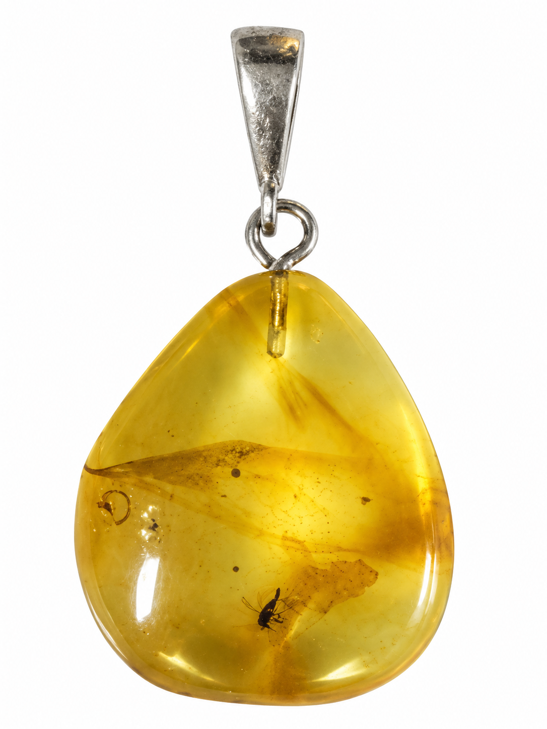 Amber Stone Necklace with insects