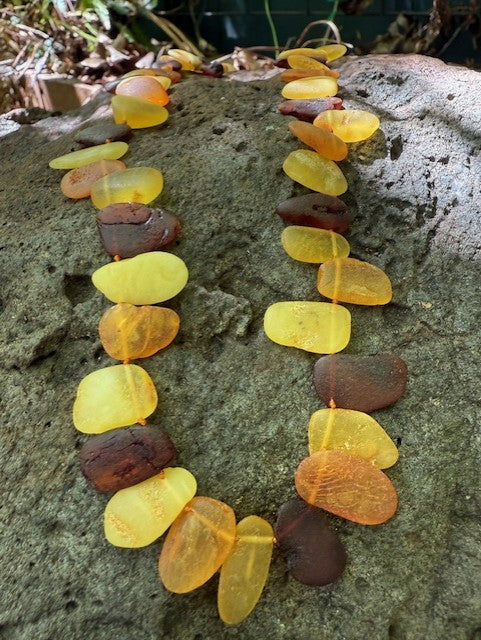 Golden Glow: Flat Beads Amber Necklace