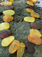 Load image into Gallery viewer, Golden Glow: Flat Beads Amber Necklace
