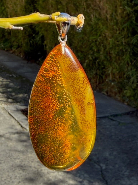 Close-up of a reflective orange object on a branch with a blurred background