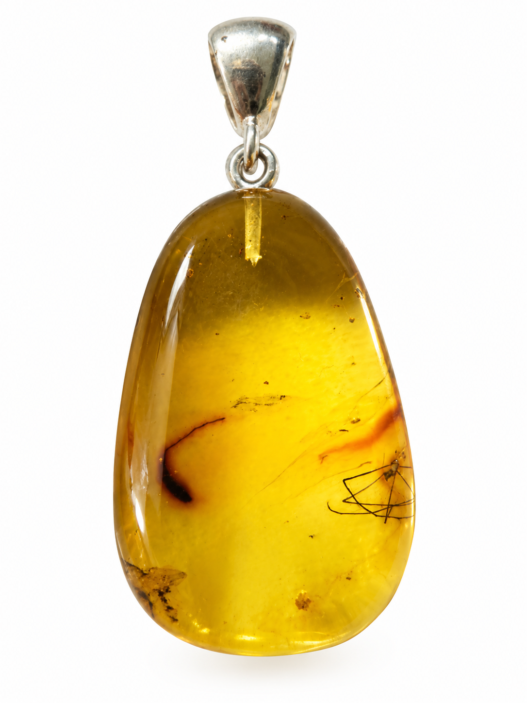 Natural Baltic Amber Pendant with Insect Inclusion