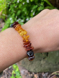 Adult Baltic Amber Bracelet