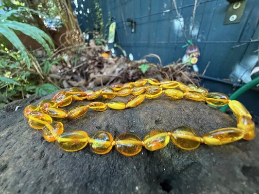 Amber Necklace { SALE }