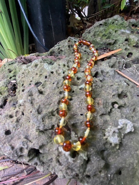 Baby Amber necklaces