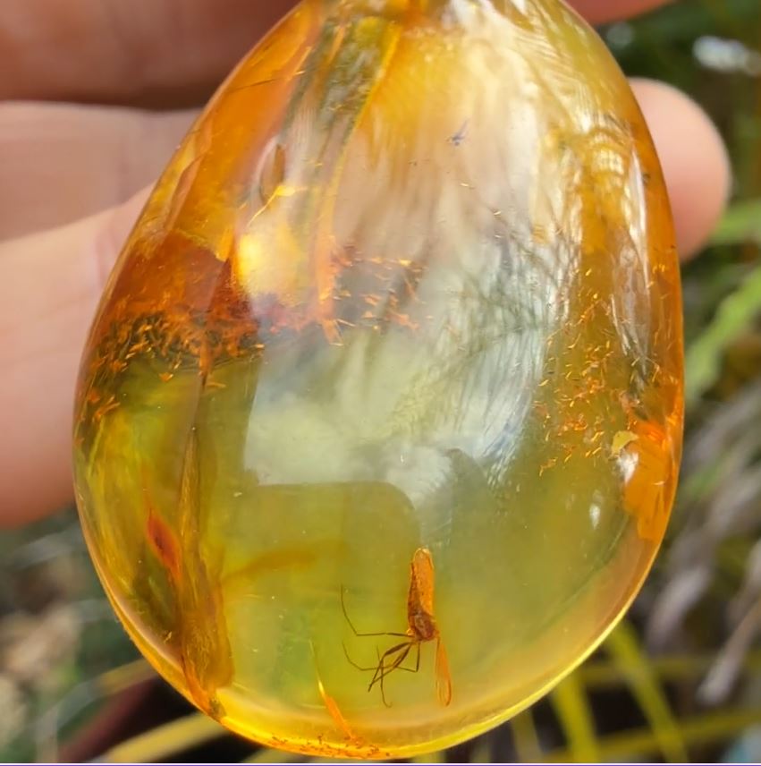 Men's Amber Stone Necklace with insects