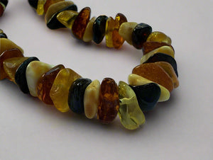 Chip Adult Necklace Amber