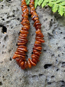 Honey Amber necklace