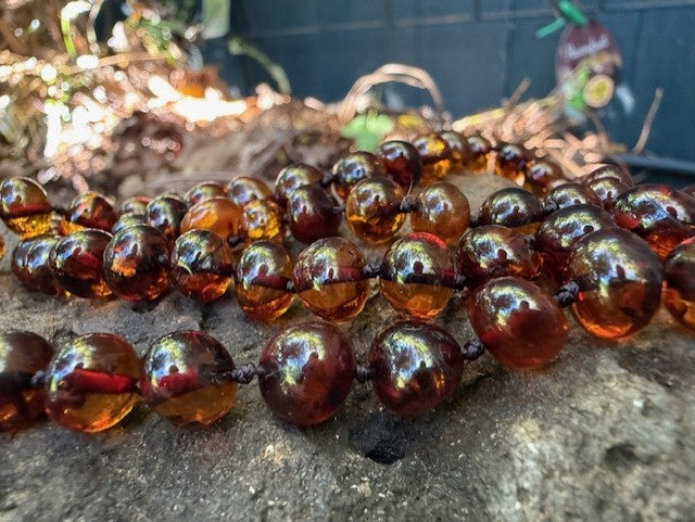 Adult Cognac Amber Necklace