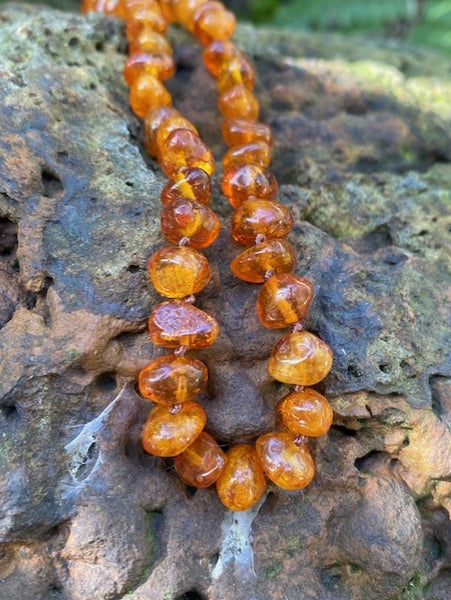 Honey shop amber necklace