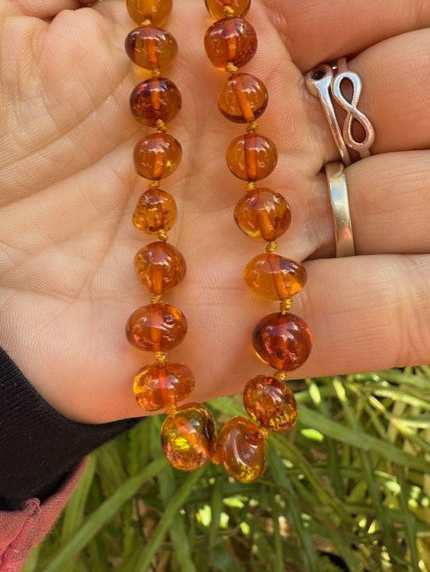 Adult Cognac Amber Necklace – cognac amber beads – Amber House
