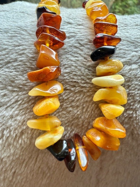 Sun & Earth Long Amber Strand