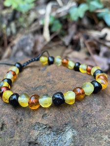 Adult Multi Baltic Amber Bracelet Amber House