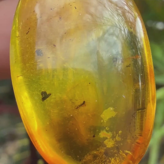 Fossilised Insect Amber Pendant