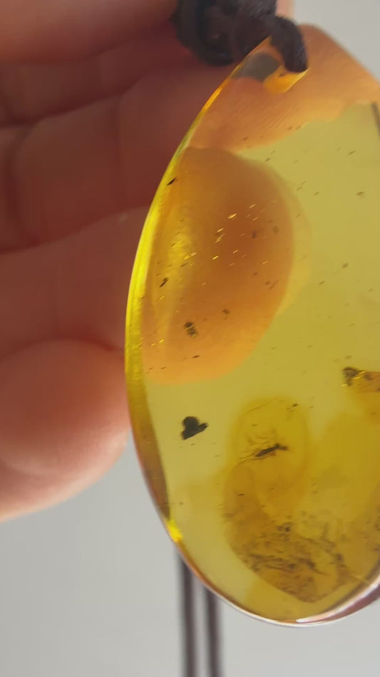 Natural Amber Good Luck Charm Pendant with insect