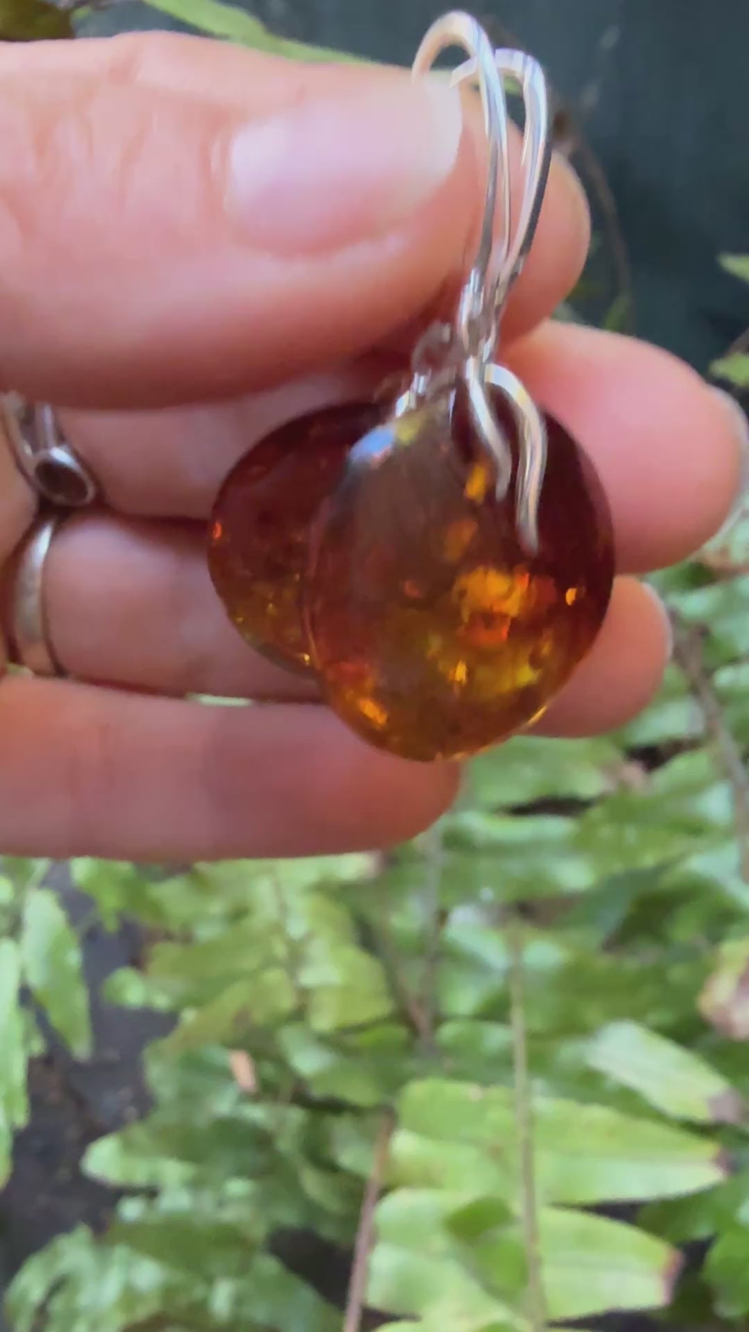 video of oval amber earrings 