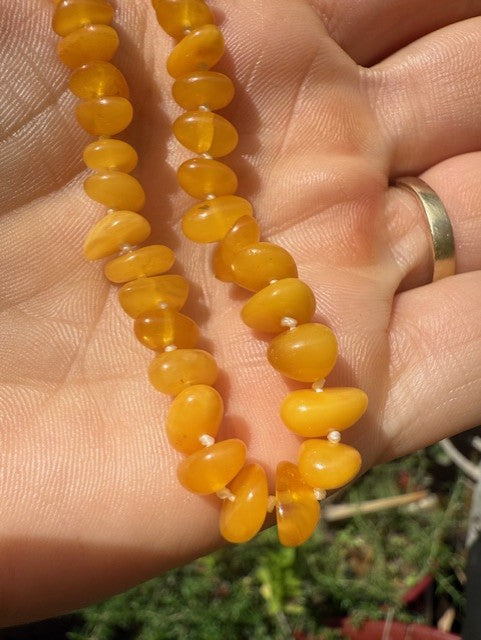 Toddler Yellow Amber  Necklace
