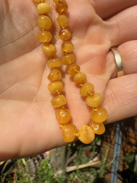 Toddler Yellow Amber  Necklace