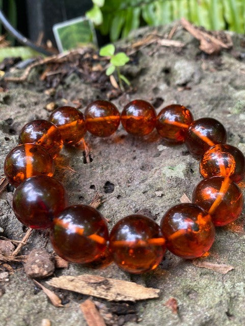 Amber Bracelet 16mm - Amber House 