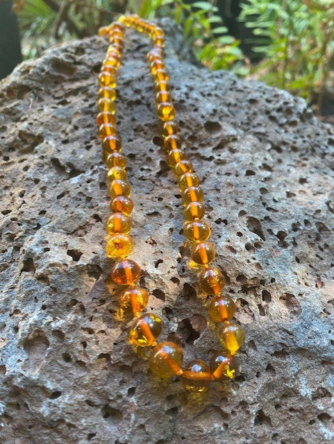 Honey Adult Amber Necklace - Amber House 