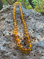 Load image into Gallery viewer, Honey Adult Amber Necklace - Amber House 
