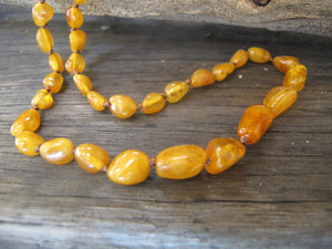 Dark Butterscotch Adult Necklace - Amber House 
