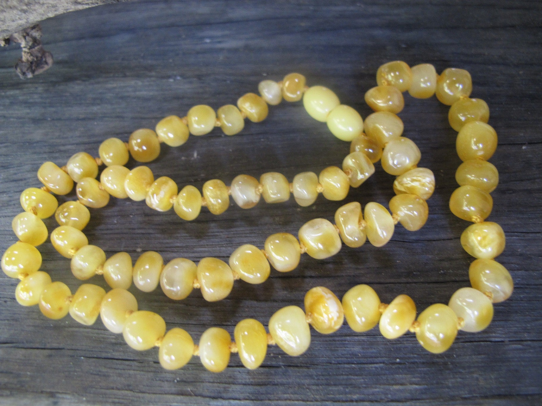 Butterscotch BALTIC AMBER NECKLACE - Amber House 