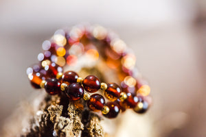 COGNAC AMBER BRACELET - Amber House 