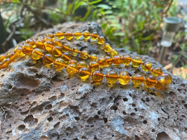 Honey Adult Amber Necklace - Amber House 