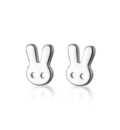 Dainty Stud Earrings - Amber House 