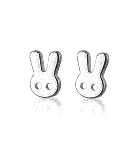 Dainty Stud Earrings - Amber House 