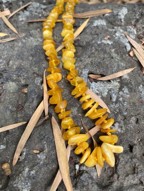 Butter Chip Amber Necklace - Amber House 