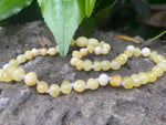 Load image into Gallery viewer, BUTTERSCOTCH BAROQUE BALTIC AMBER BABY NECKLACE - Amber House 

