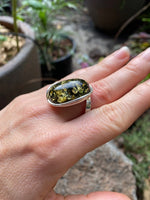 Load image into Gallery viewer, Green Baltic Amber Ring - Amber House 
