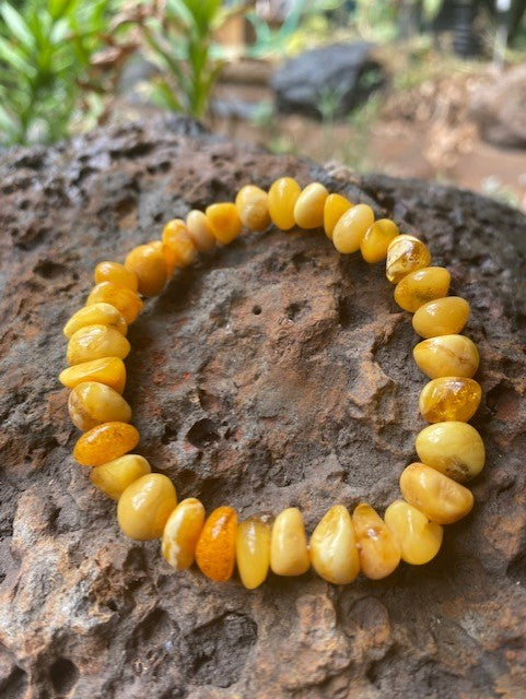 Milky Amber Bracelet - Amber House 