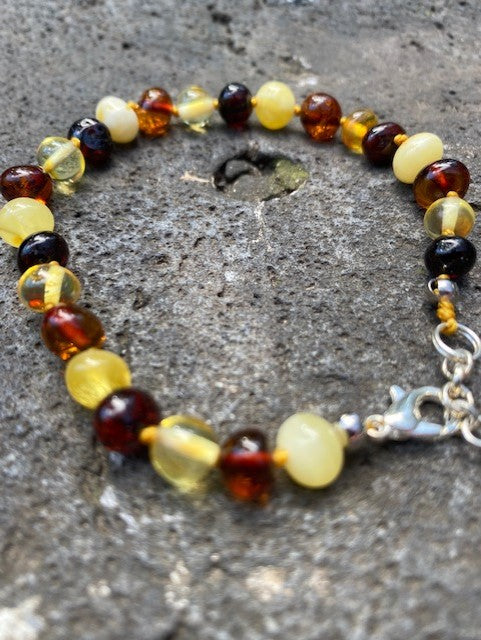 Amber Bracelet with silver clasp - Amber House 