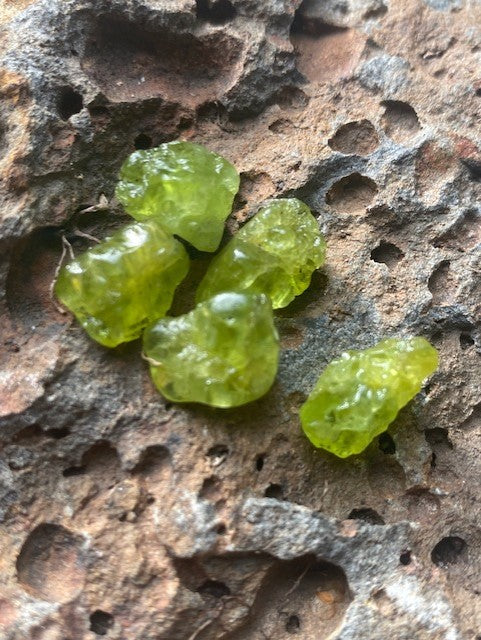 Cherry Amber with Peridot - Amber House 