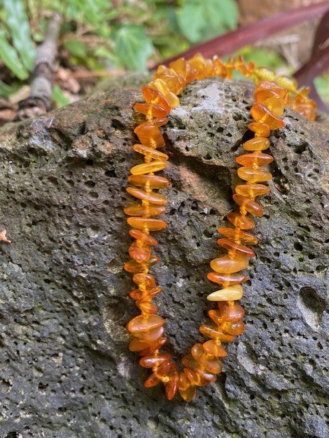 Amber necklaces SALE Amber House