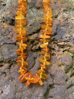 Load image into Gallery viewer, Amber necklaces {SALE} - Amber House 
