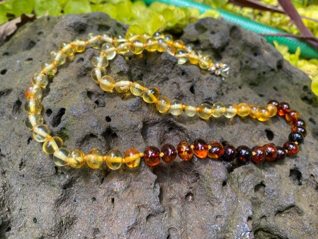 Amber necklaces - Amber House 