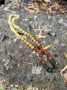 Raw Rainbow AMBER NECKLACE - Amber House 